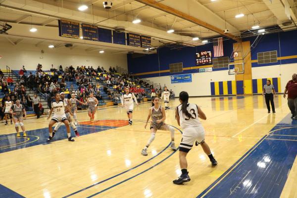 Viking's Basketball