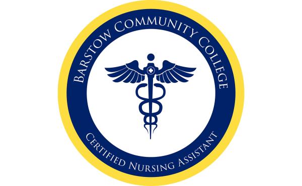CNA Logo